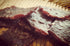 Aufschnitt Grass Fed Beef Jerky, Low Sodium, Certified Kosher, Halal and Keto Friendly, 2 Pack, BBQ