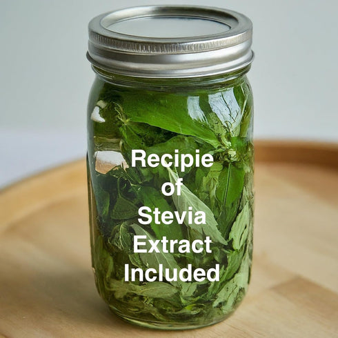 (4 Natural Herbal Live Zero Calorie Sugar Replacement. Stevia Plants. Sweet Leaf, Sugar Leaf, Natural Sugar Substitute