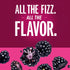 8.4 OZ, 24 IZZE Sparkling Water Juice Beverage Blend, Blackberry, No Sugar Added, FL Cans
