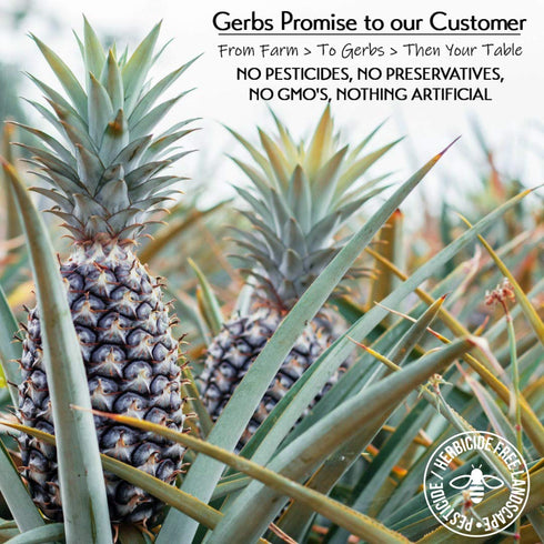 4 lbs. 14 Gerbs Lightly Sweetened Dried Pineapple Cubes | Unsulfured, No Artificial Additives, Resealable Bag |