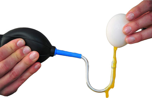 Millbrook Way Egg Art Kit with Egg Blower Pump and Decorating Tool
