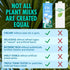 (32 oz Pack 6) Kiki Milk Plant Based Milk - Organic Original Kiki Milk - Calcium & Magnesium Source - Gluten Free, Gum