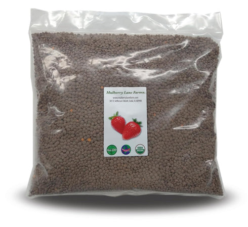 Mulberry Lane Farms Brown Lentils, Small, 5 Pounds USDA Certified Organic, Non-GMO, Bulk, Product of