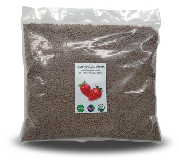 Mulberry Lane Farms Brown Lentils, Small, 5 Pounds USDA Certified Organic, Non-GMO, Bulk, Product of