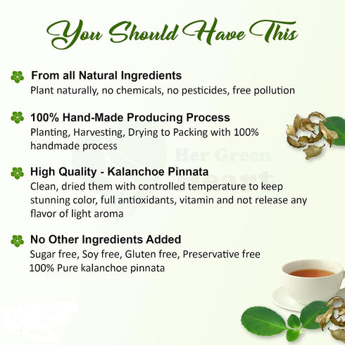 Generic 100% Kalanchoe Pinnata Leaves Powder Herbal Tea - Pure, Organic Ground Powder for Natural Use in Cooking