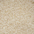 2 Jasmine Rice, Pound Bulk Bag, Hampton Distribution