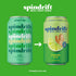 12 Pack Spindrift Soda Ginger Ale Soda Made with Real Squeezed Fruit Case