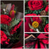 CNLITIHEKA Rose Preserved Flowers Bouquet, Long-Lasting Real Red Roses, Birthday, Valentine's Day, for Mom, Wife