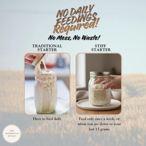 2 Einkorn Dehydrated Italian Sourdough Starter | Naturally Lower Gluten Structure | Made from Organic Heirloom Einkorn