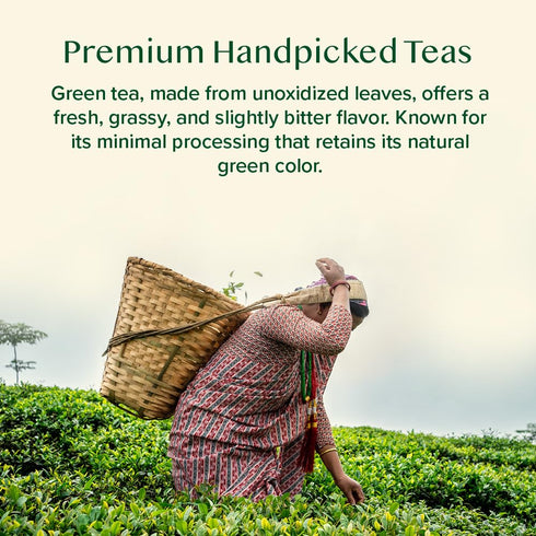 Set (10 Packed VAHDAM Assorted Green Tea Loose Leaf Tea Gift Flavors) | Loose Leaf Green Tea Collection | Includes