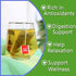 1.5g 50 Count TEARELAE - Lemon Balm Tea Bag - X - Pure Natural Dried Lemon Balm Herb - Premium Lemon Balm Leaf
