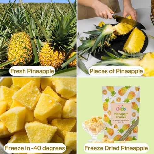 Summer Set Juju Oops Freeze Dried Strawberry & Pineapple Fruit