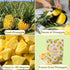 Summer Set Juju Oops Freeze Dried Strawberry & Pineapple Fruit