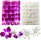 Miami Fresh Orchid Flower OrchidClubUSA Sunne Tropical Loose Bloom DIY Lei food