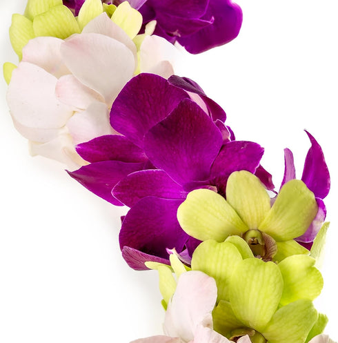 Generic Graduation Leis, Fresh Cut Orchids Flower Leis, Long-lasting double leis made of fresh cut purple, pink