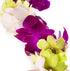 Generic Graduation Leis, Fresh Cut Orchids Flower Leis, Long-lasting double leis made of fresh cut purple, pink
