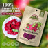 15g Himalayan Chef Freeze-Dried Dragon Fruit | Organic Dried Fruits Snacks, Healthy Snack for Kids & Adults