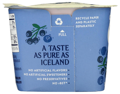 Bilberry 5.3 Icelandic Provisions, Wild Blueberry and Thick and Creamy SKYR, Ounce