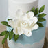 1 Count Global Sugar Art Gardenia Sugar Cake Flowers Jumbo White with Wire, by Chef Alan Tetreault