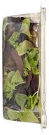 5 oz Whole Foods Market, Organic Sweet Baby Lettuces