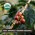 60 Count, 100% Pack G GRANA Coffee Pods, Compatible with Nespresso OriginalLine, Medium and Dark Roast Espresso, USDA