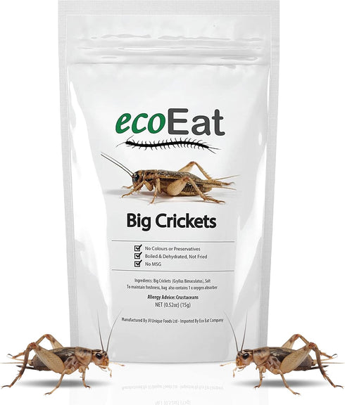 Edible Insects Big Black Crickets - Dehydrated Snack Food Gifts, 15g
