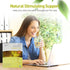 100% 200 Prince of Peace Organic Tea, BEST VALUE Family Size, Tea Bags (Organic Green Tea)