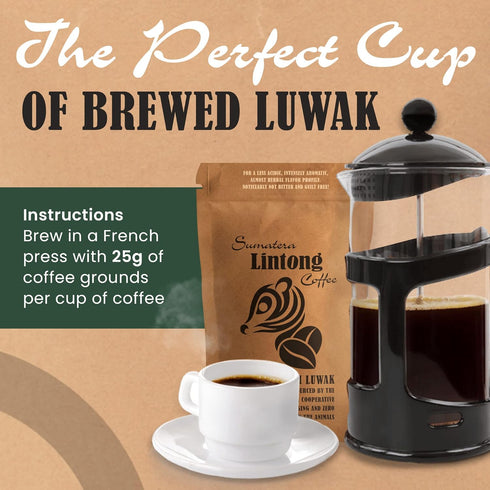 Ground Wild Kopi Luwak 100gr) , the Worlds Most Exclusive Coffee, Sustainably Sourced From Sumatra, Indonesia (Ground