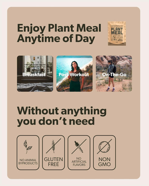 25g 76+ 1 Plant Meal Replacement Shake - Chocolate - of Plant Based Vegan Protein Powder, Organic Superfoods, Vitamins