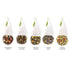 Set 20 Count, Tea Forte Premium Presentation Box Gift Sampler, Assorted Blends Individually Wrapped Handcrafted Pyramid