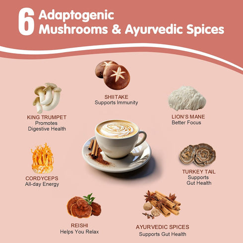 6 Immune 20 Balincer Mushroom Chai, Adaptogenic Mushrooms (Lion's Mane, Cordyceps, Turkey Tail & Other) Mixed
