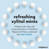 XyloBurst Xylitol Mints, Sugar Free Breath Mints for Oral Health, Peppermint, 200 Count Jar