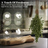8oz, Shrida Foods Dried Whole Thyme Leaves, Authentic Thyme for Cooking, Seasoning, Soups, Marinades, Freshly Dried