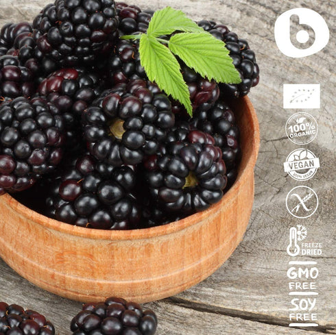 Organic Blackberry Powder - Freeze Dried Blackberries, Rich in Anthocyanin & Polyphenols for Smoothies, 2.65oz