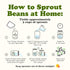 1 Food to Live Organic Crunchy Mix of Sprouting Beans, Pound - Non-GMO, Kosher, Non-Irradiated, Vegan, Raw, Dried, Bulk