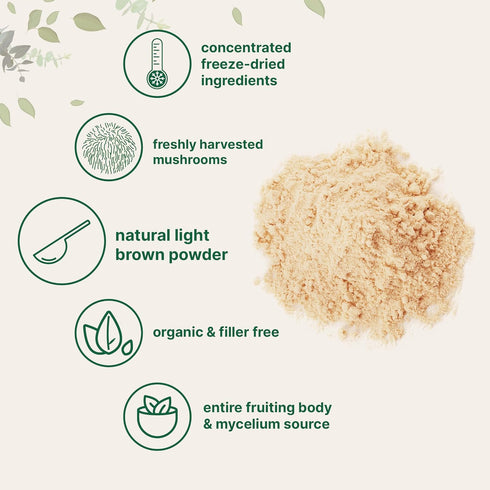 8oz Immune Micro Ingredients Organic Lions Mane Mushroom Powder, | Pure Fruiting Body Superfood | Supports Brain