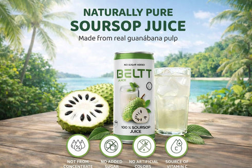 BELTT 100% 11.1 OZ Pack 12 Soursop Juice Fruit, No Added Sugar, No Preservatives, Not From Concentrate, Plant Based
