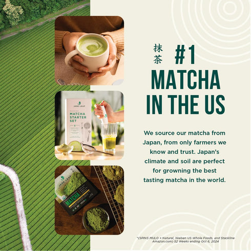 100g 3.53 (Pack 1) Jade Leaf Matcha Organic Culinary Grade Matcha Powder - Japanese Green tea for Baking, Smoothies