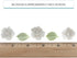 24 Count Global Sugar Art Blossoms and Leaves Edible Sugar Cake & Cupcake Flowers, White, Small Unwired, with Leaves by