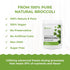 Set| (2 2.43 oz) eHerbal Super Veggie Powder Freeze-Dried Pumpkin Powder & Broccoli Powder