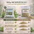 4 oz (113g) Romero Dried Rosemary Leaves Premium Whole Herbs for Cooking & Tea All-Natural, Non-GMO, Gluten-Free Hoja