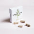 Simply Gum Fennel Plant-Based Chewing Gum Pack of Six (90 Pieces Total) Synthetic Plastic Free + Aspartame Free