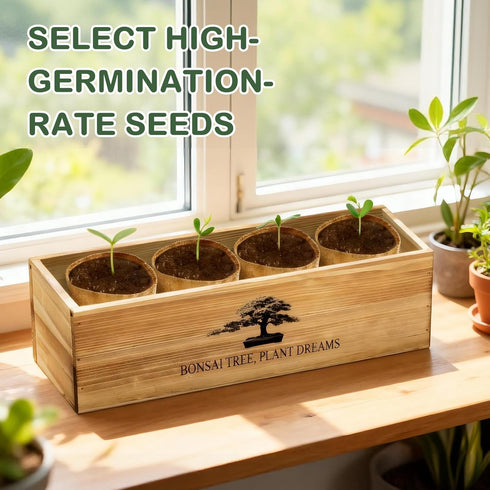 LUOJIBIE Bonsai Tree Kit, Complete Bonzai Tree Starter Kits, for Mom, Unique Christmas Birthday Gardening Gifts