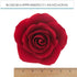 5 inch 1 Count Global Sugar Art Rose Sugar Cake Flowers Jumbo Deep Red, by Chef Alan Tetreault