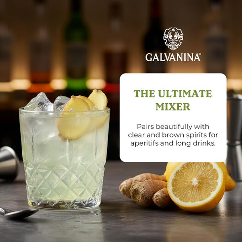 12 oz (6 Galvanina Ginger Ale Premium Organic Italian Sparkling Soda, fl Glass Bottles) | Crisp, Lightly Sweet Ginger