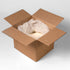25 lb Farmersville Spice Co. Onion Salt, Bulk Case, Kosher Seasoning for Restaurants & Foodservice