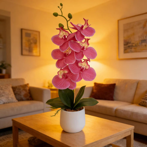 16" Summer Ashland Pink Orchid in Ceramic Pot, Home Decor