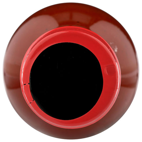 Molonay 12 OZ TUBILDERBORST Spicy Ketchup
