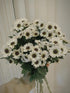 19 Stems Fresh Panda Bicolor Daisies Flowers Well Maintained Long Blooming Hydroponic Flower Arrangement Gift for Home
