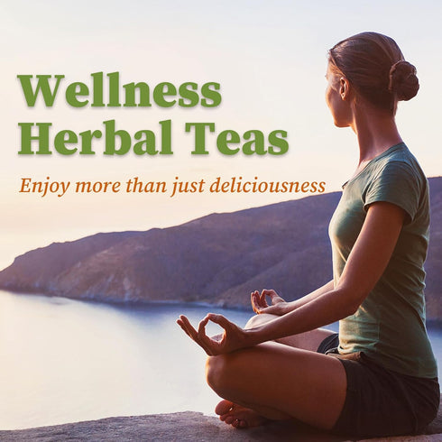 40 1.5g/bag 40.0 Count FullChea - Lemon Balm Tea Bag, Teabags, - Premium Lemon Balm Herb - Melissa Officinalis